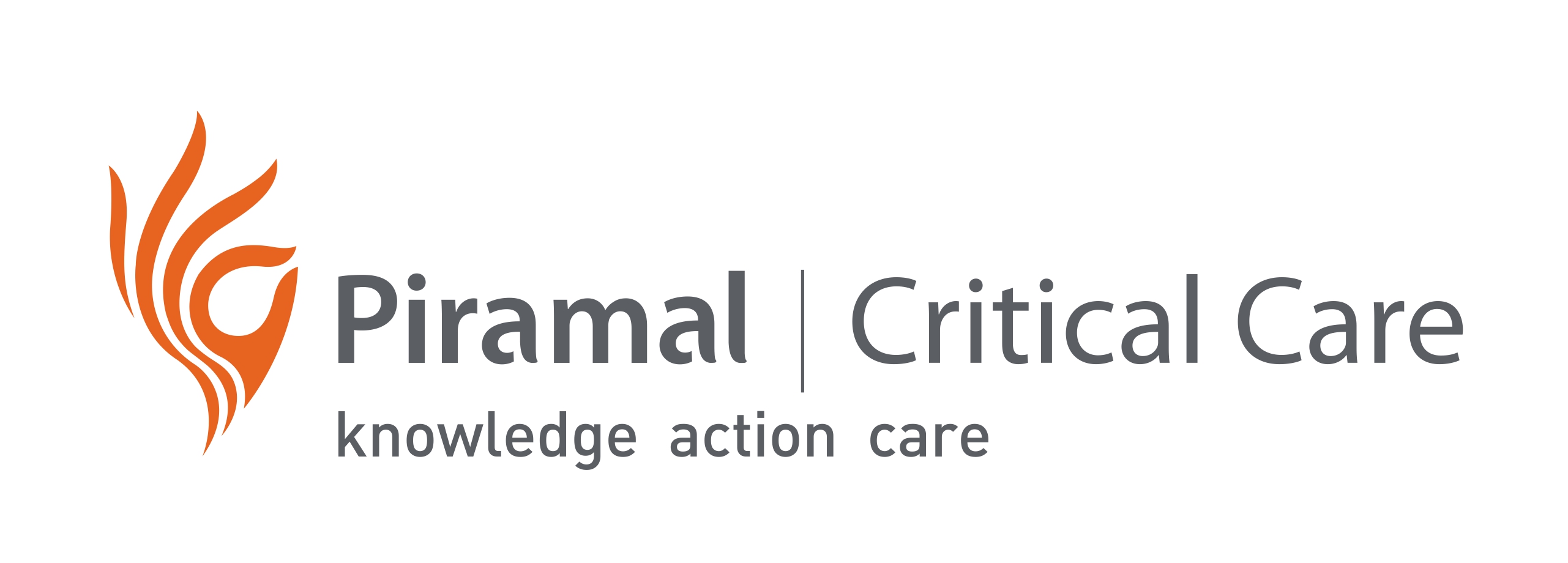 Piramal Critical Care