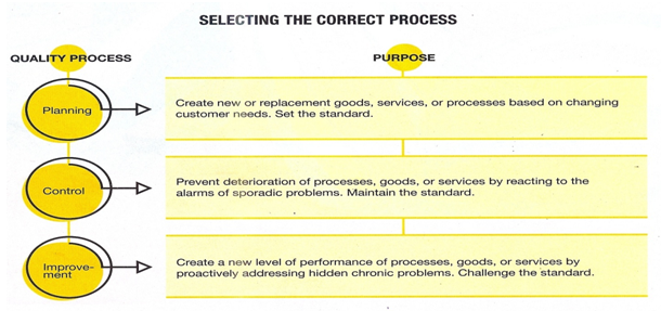 Selecting the correct process