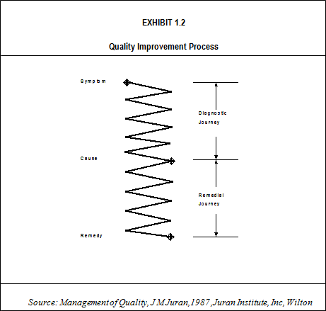 Quality Improvement Process